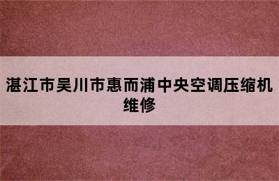 湛江市吴川市惠而浦中央空调压缩机维修