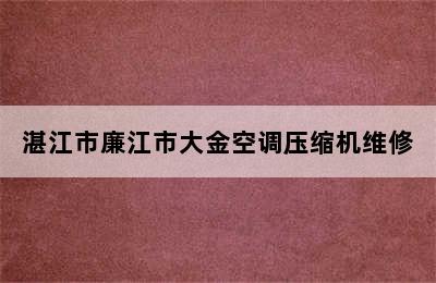 湛江市廉江市大金空调压缩机维修