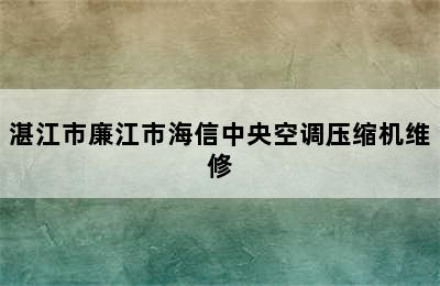 湛江市廉江市海信中央空调压缩机维修