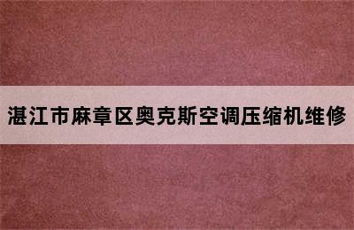 湛江市麻章区奥克斯空调压缩机维修