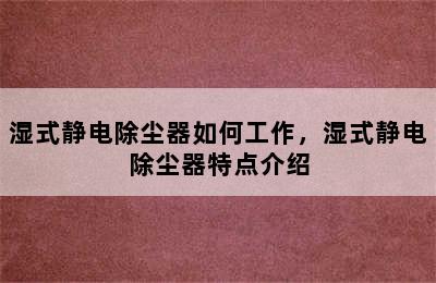 湿式静电除尘器如何工作，湿式静电除尘器特点介绍