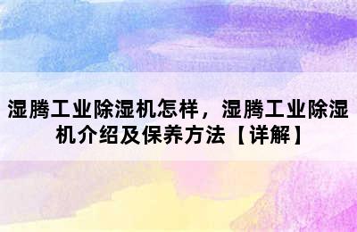 湿腾工业除湿机怎样，湿腾工业除湿机介绍及保养方法【详解】