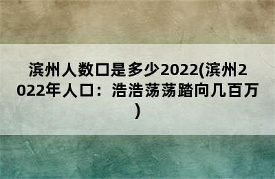 滨州人数口是多少2022(滨州2022年人口：浩浩荡荡踏向几百万)