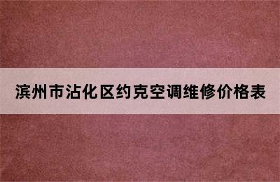 滨州市沾化区约克空调维修价格表