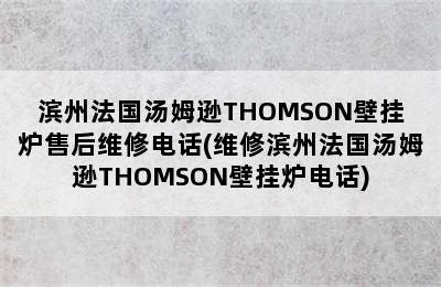 滨州法国汤姆逊THOMSON壁挂炉售后维修电话(维修滨州法国汤姆逊THOMSON壁挂炉电话)