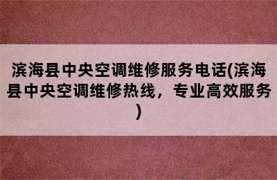 滨海县中央空调维修服务电话(滨海县中央空调维修热线，专业高效服务)