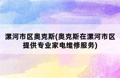 漯河市区奥克斯(奥克斯在漯河市区提供专业家电维修服务)