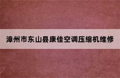 漳州市东山县康佳空调压缩机维修