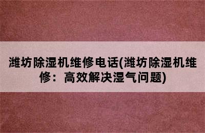 潍坊除湿机维修电话(潍坊除湿机维修：高效解决湿气问题)