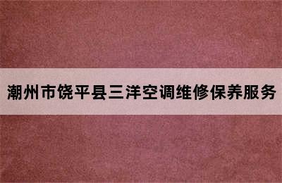 潮州市饶平县三洋空调维修保养服务