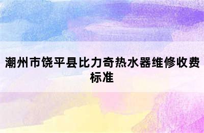 潮州市饶平县比力奇热水器维修收费标准