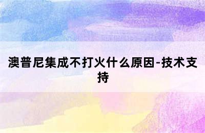 澳普尼集成不打火什么原因-技术支持