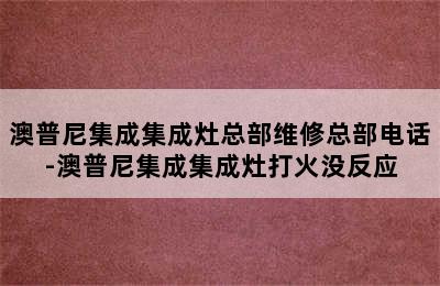 澳普尼集成集成灶总部维修总部电话-澳普尼集成集成灶打火没反应