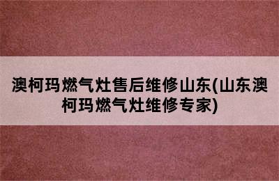 澳柯玛燃气灶售后维修山东(山东澳柯玛燃气灶维修专家)