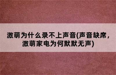 激萌为什么录不上声音(声音缺席，激萌家电为何默默无声)