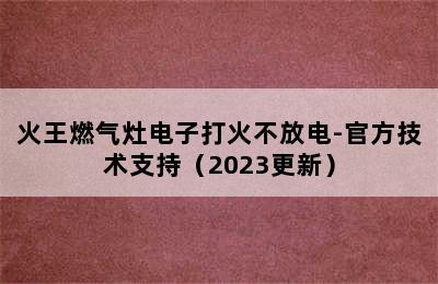 火王燃气灶电子打火不放电-官方技术支持（2023更新）