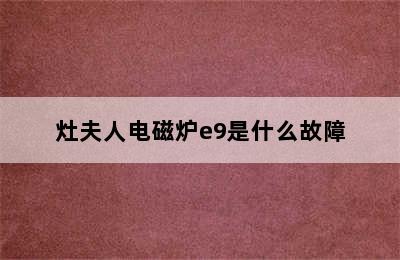 灶夫人电磁炉e9是什么故障