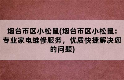 烟台市区小松鼠(烟台市区小松鼠：专业家电维修服务，优质快捷解决您的问题)