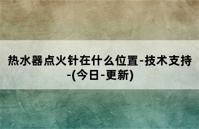 热水器点火针在什么位置-技术支持-(今日-更新)