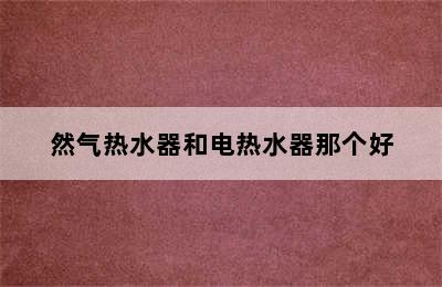 然气热水器和电热水器那个好