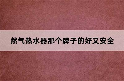 然气热水器那个牌子的好又安全