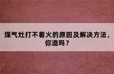 煤气灶打不着火的原因及解决方法，你造吗？