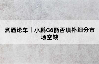 煮酒论车丨小鹏G6能否填补细分市场空缺