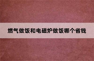 燃气做饭和电磁炉做饭哪个省钱