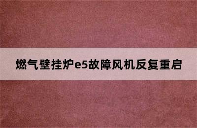 燃气壁挂炉e5故障风机反复重启