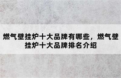 燃气壁挂炉十大品牌有哪些，燃气壁挂炉十大品牌排名介绍