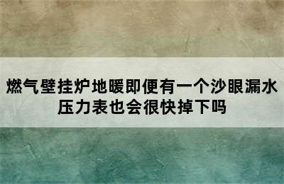 燃气壁挂炉地暖即便有一个沙眼漏水压力表也会很快掉下吗