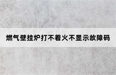 燃气壁挂炉打不着火不显示故障码