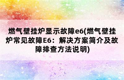 燃气壁挂炉显示故障e6(燃气壁挂炉常见故障E6：解决方案简介及故障排查方法说明)