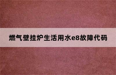 燃气壁挂炉生活用水e8故障代码