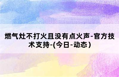 燃气灶不打火且没有点火声-官方技术支持-(今日-动态）