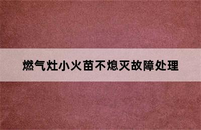 燃气灶小火苗不熄灭故障处理