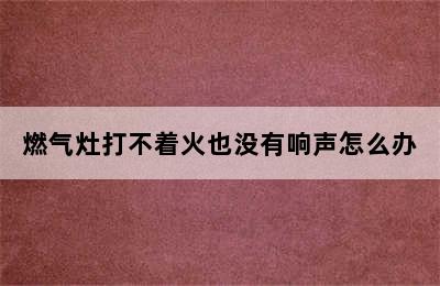 燃气灶打不着火也没有响声怎么办