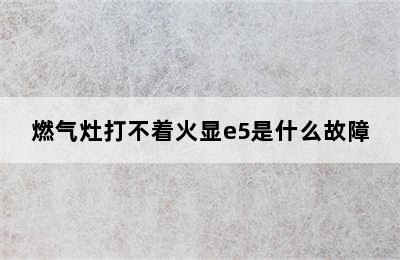 燃气灶打不着火显e5是什么故障