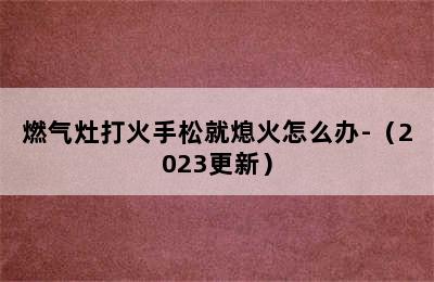 燃气灶打火手松就熄火怎么办-（2023更新）