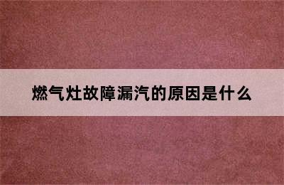 燃气灶故障漏汽的原因是什么