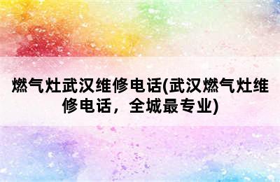 燃气灶武汉维修电话(武汉燃气灶维修电话，全城最专业)