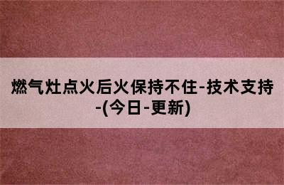 燃气灶点火后火保持不住-技术支持-(今日-更新)