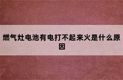 燃气灶电池有电打不起来火是什么原因