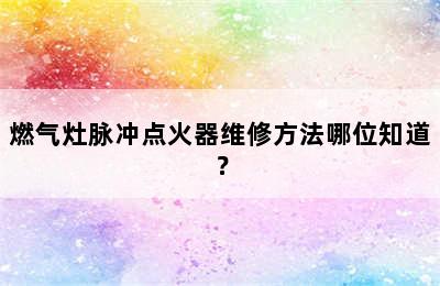 燃气灶脉冲点火器维修方法哪位知道？