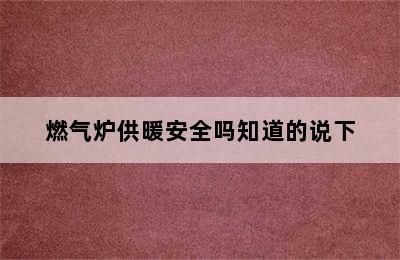 燃气炉供暖安全吗知道的说下