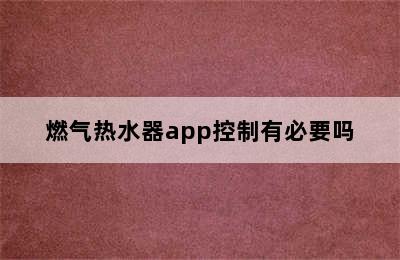 燃气热水器app控制有必要吗