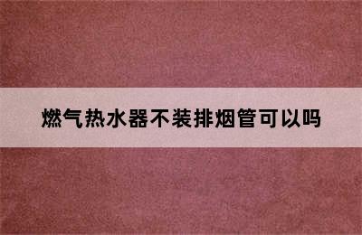 燃气热水器不装排烟管可以吗