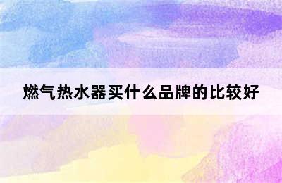 燃气热水器买什么品牌的比较好