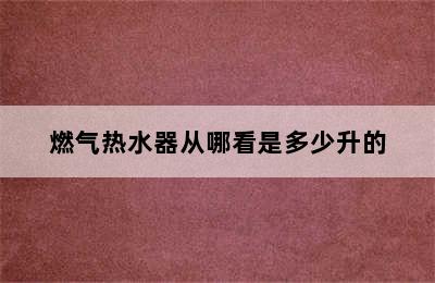 燃气热水器从哪看是多少升的