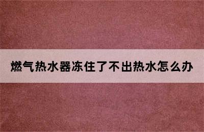 燃气热水器冻住了不出热水怎么办